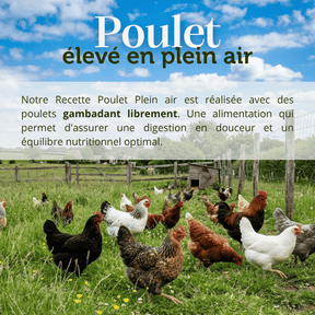 Croquettes Poulet Plein Air chien adulte- Dans Ma Gamelle