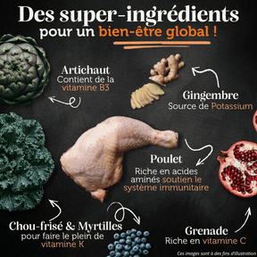 Croquettes sans céréales 65% Poulet plein air - Chiens moyennes races - Dans Ma Gamelle