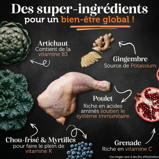 Croquettes sans céréales 65% Poulet plein air - Chiens moyennes races - Dans Ma Gamelle