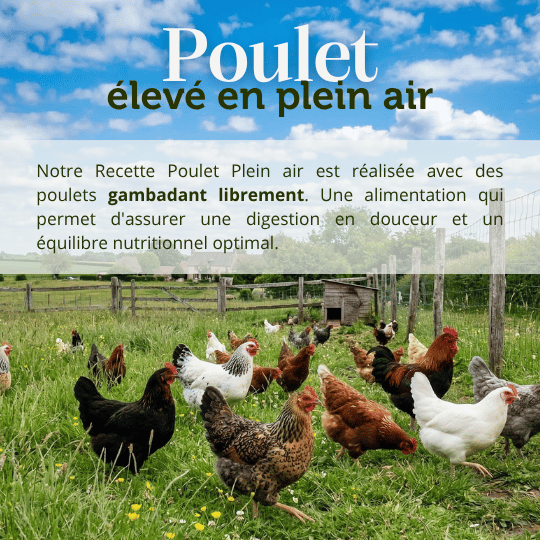 Croquettes Poulet Plein Air chien adulte- Dans Ma Gamelle