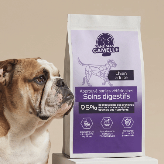 Croquettes Soins digestifs chien adulte - Protéines hydrolysées - Dans Ma Gamelle