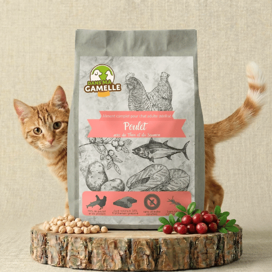 Croquettes chat stérilisé poulet saumon thon dansmagamelle