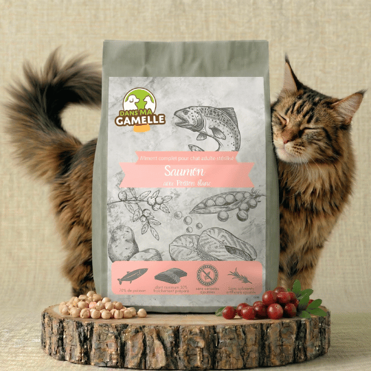 Croquettes chat stérilisé saumon poissons blancs dansmagamelle