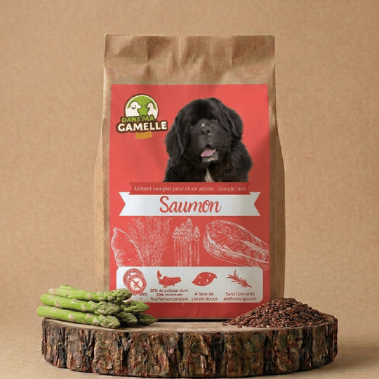 Croquettes chien grande race saumon sans céréales dansmagamelle