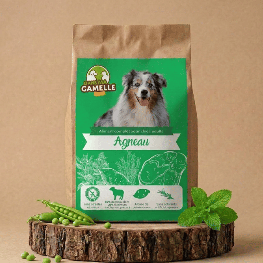Croquettes chien moyen sans céréales agneau dansmagamelle
