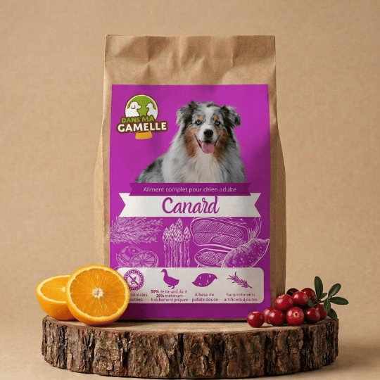 Croquettes chien moyen sans céréales canard dansmagamelle