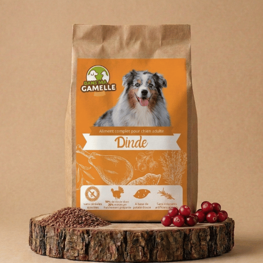 Croquettes chien moyen sans céréales dinde dansmagamelle