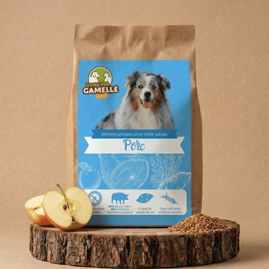 Croquettes chien moyen sans céréales porc dansmagamelle