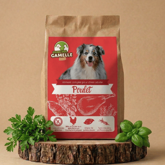 Croquettes chien moyen sans céréales poulet dansmagamelle
