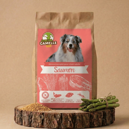 Croquettes chien moyen sans céréales saumon dansmagamelle