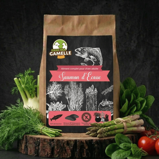 Croquettes chien moyen saumon d'écosse dansmagamelle