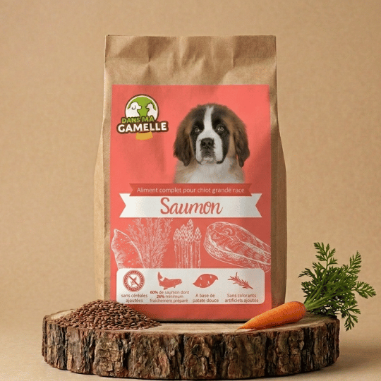 Croquettes grand chiot saumon sans céréales dansmagamelle