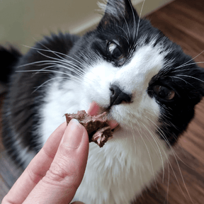 Cubes poumons de bœuf - Chiens et chats