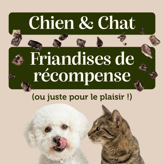 Cubes poumons de bœuf - Chiens et chats