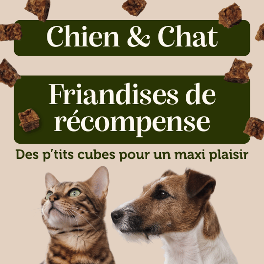 Cubes de Poulet - Chien & Chat