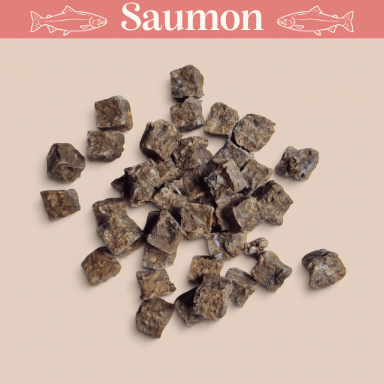 Cubes de Saumon - Chiens & Chats