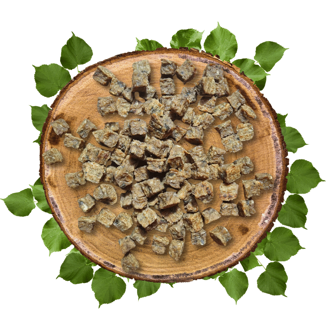 Cubes de Saumon - Chiens et Chats
