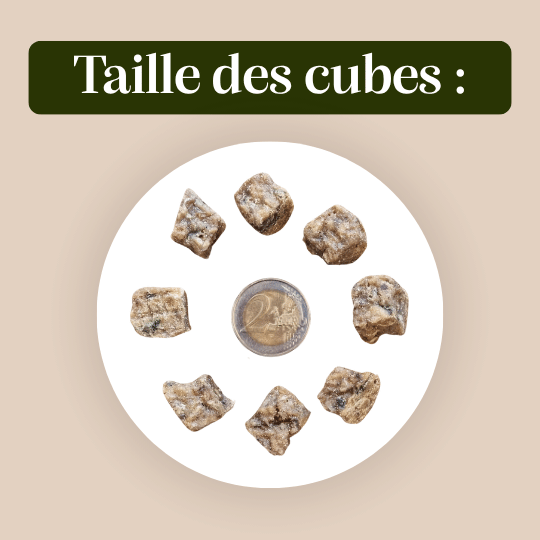 Cube saumon friandises chien chat récompense éducation taille