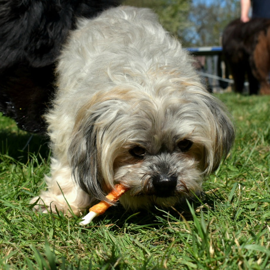 Sticks Mix Bœuf Poulet mastication chien