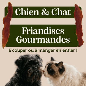 Filets de Canard séchés