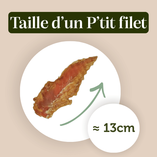 Filets de poulet pour chien et chat friandise naturelle appétante taille
