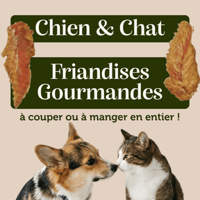 Filets de poulet pour chien et chat friandise naturelle appétante