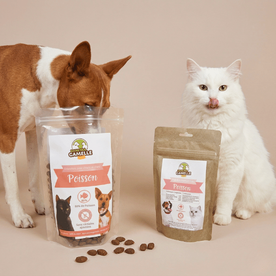 Friandises "Poisson" sans céréales - Chiens et Chats - DansMaGamelle