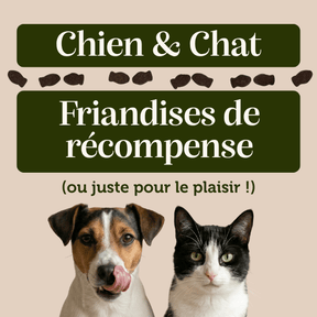 Friandises "Poisson" sans céréales - Chiens et Chats - DansMaGamelle