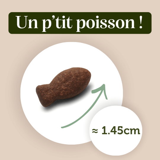 Friandises "Poisson" sans céréales - Chiens et Chats - DansMaGamelle taille