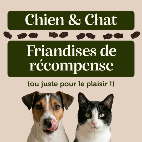 Friandises "Poisson" sans céréales - Chiens et Chats - DansMaGamelle