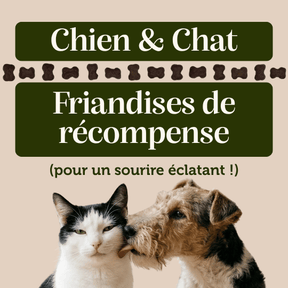 Friandises "Dentaire" sans céréales - Chiens et Chats - DansMaGamelle