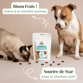 Friandises "Dentaire" sans céréales - Chiens et Chats - DansMaGamelle