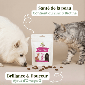 Friandises "Peau et Pelage" sans céréales - Chiens et Chats - DansMaGamelle