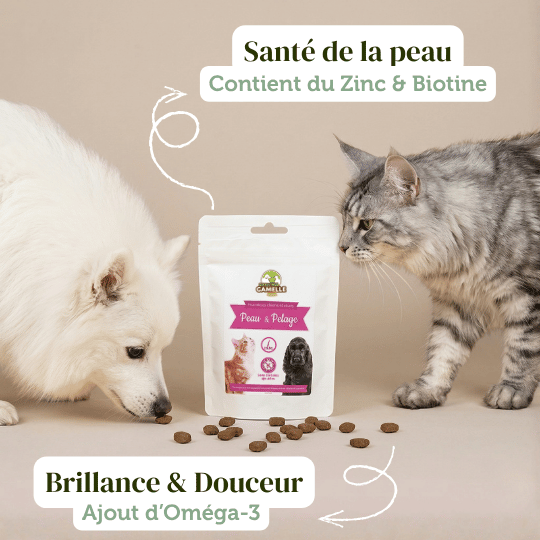 Friandises "Peau et Pelage" sans céréales - Chiens et Chats - DansMaGamelle