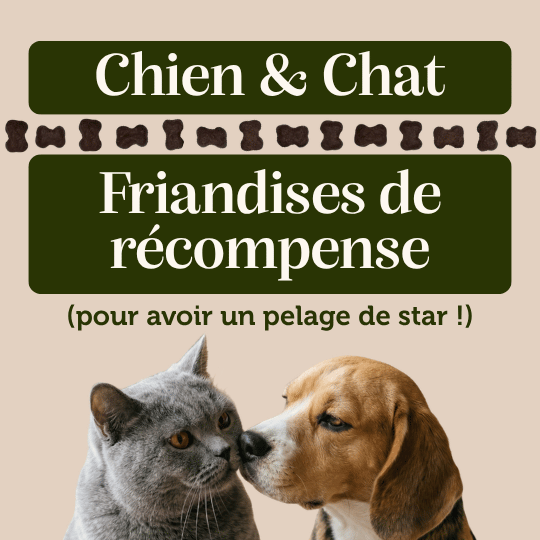 Friandises "Peau et Pelage" sans céréales - Chiens et Chats - DansMaGamelle