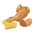 Le Gingembre