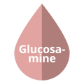 La Glucosamine