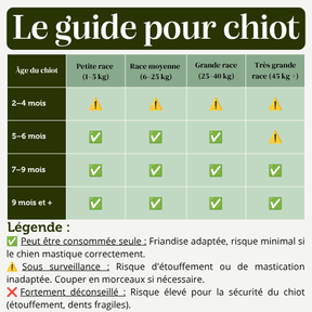 Groin de cochon soufflé friandise chien mastication canine naturelle chiot