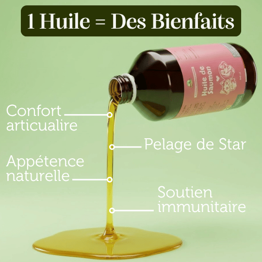 Huile de Saumon - Chiens et Chats