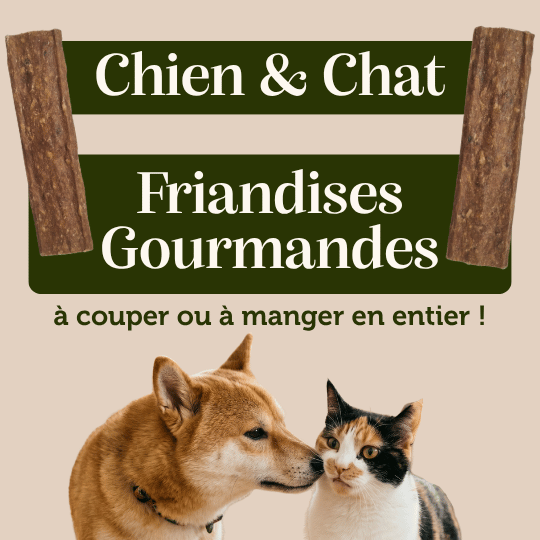 Lamelles de Sanglier - Chiens & Chats