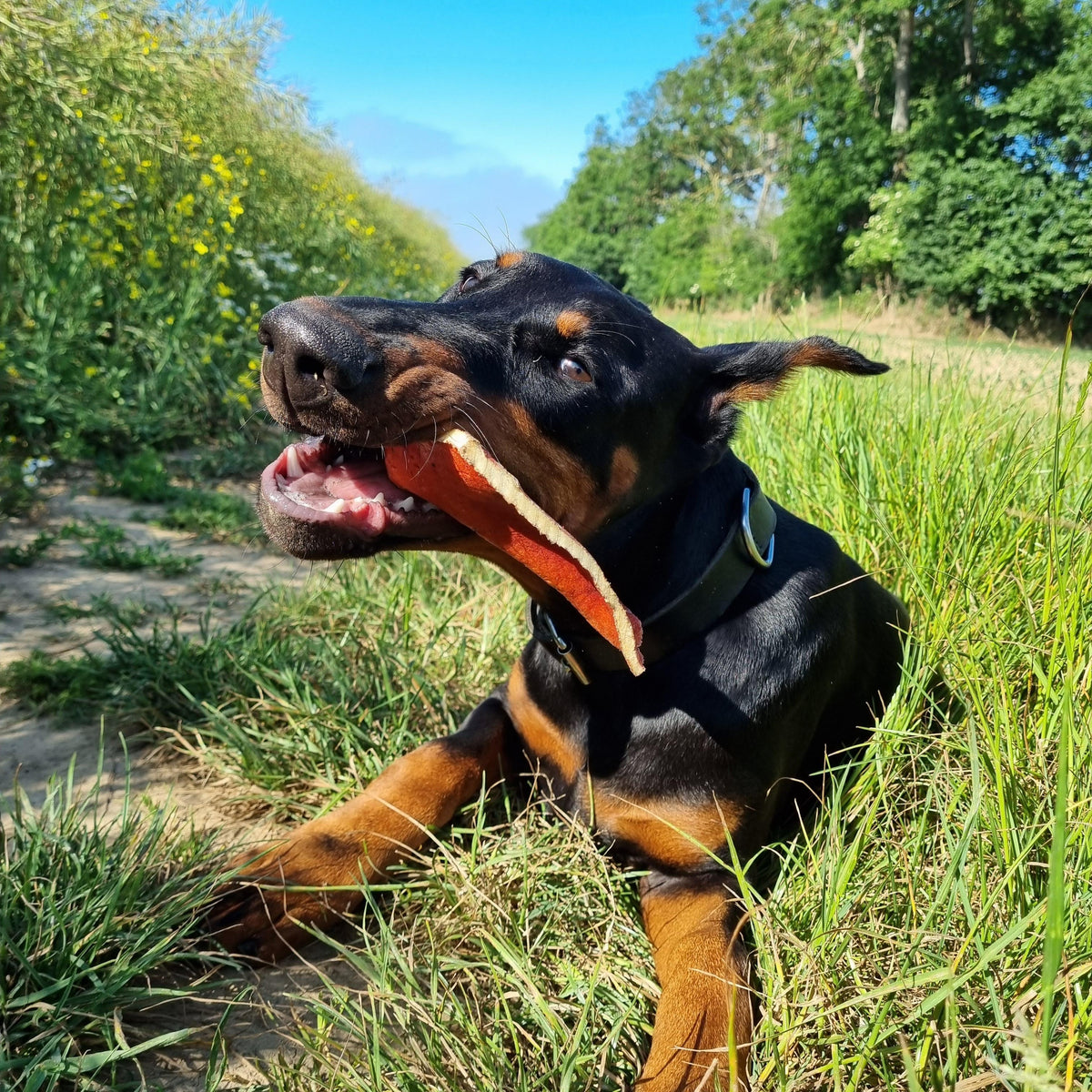 Chips de Bœuf - friandise chien mastication