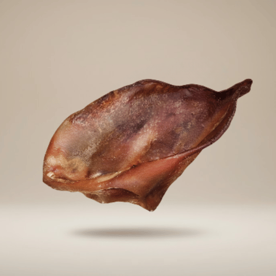 Oreille de Porc Friandise Mastication - Dans Ma Gamelle