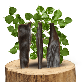 Peau de Cerf