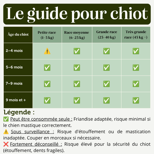Fromage de Yak Chien mastication canine durable naturelle guide chiot