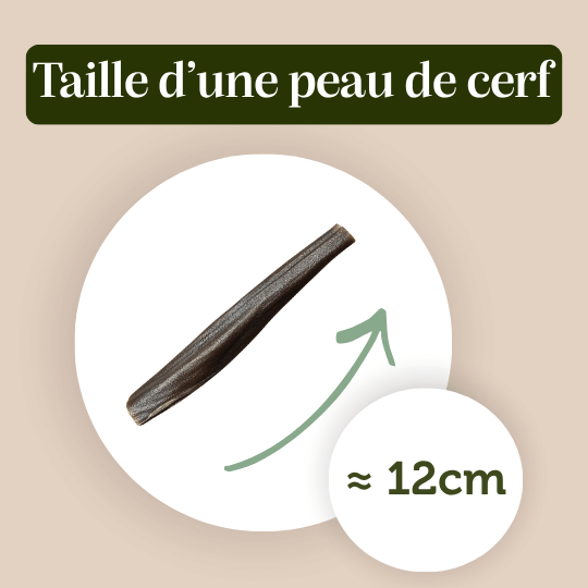 Peau de Cerf