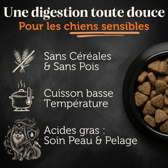 Croquettes sans céréales 65% Saumon d'Ecosse - Chiens moyennes races - Dans Ma Gamelle