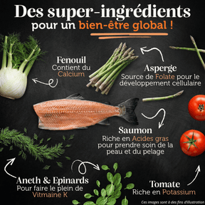 Croquettes sans céréales 65% Saumon d'Ecosse - Chiens moyennes races - Dans Ma Gamelle