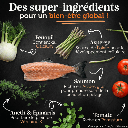 Croquettes sans céréales 65% Saumon d'Ecosse - Chiens moyennes races - Dans Ma Gamelle