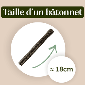 Sticks de Carrelet
