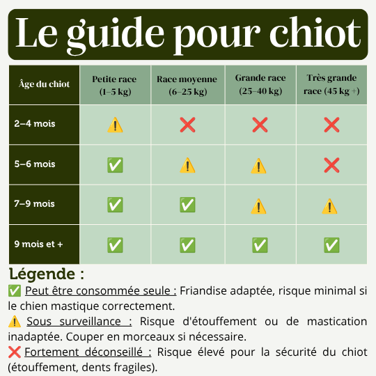 Sticks Mix Bœuf Poulet mastication chien chiot guide